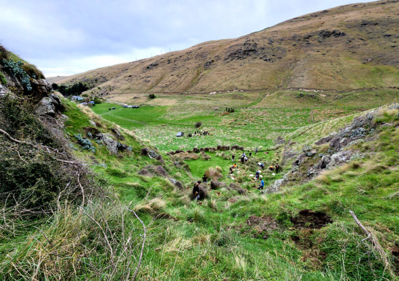 View of green fields near the coast.