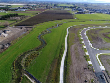 Aerial view of a subdivision in Nelson
