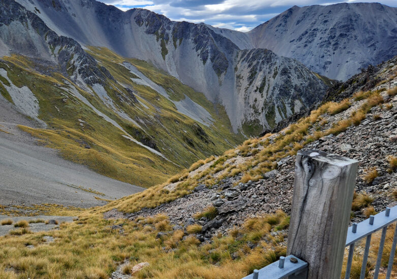 DOWEB_Photo_CRAIGIEBURN_F