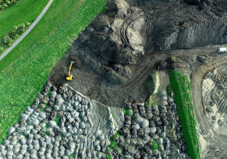 DOWEB_Photo_Project_rave_F