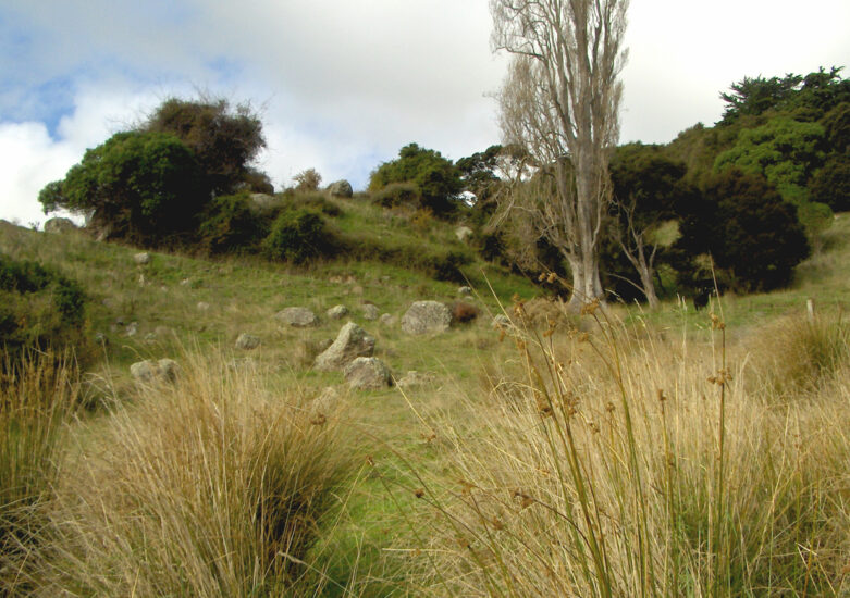 View looking up at the boulders Little Akaloa