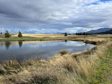 View across a body of water near grasslands on a cloudy day