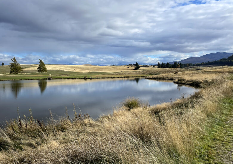 View across a body of water near grasslands on a cloudy day