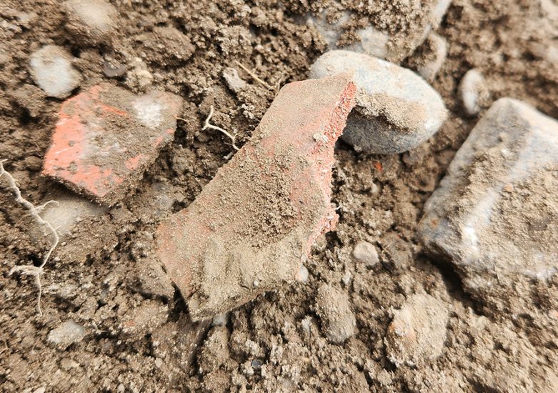 DO-web-services-asbestos