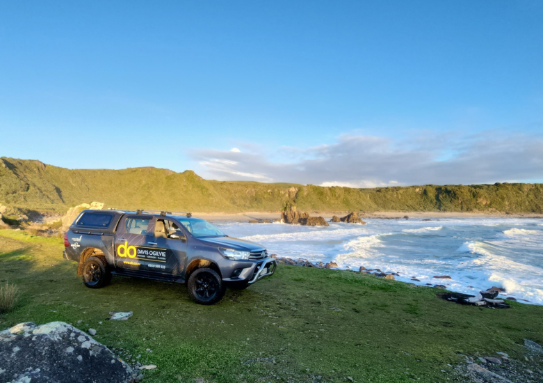 DO-Web-Insights-Year2024