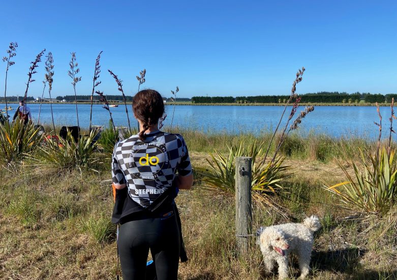 DO-web-insights-2024-wrap-up-3