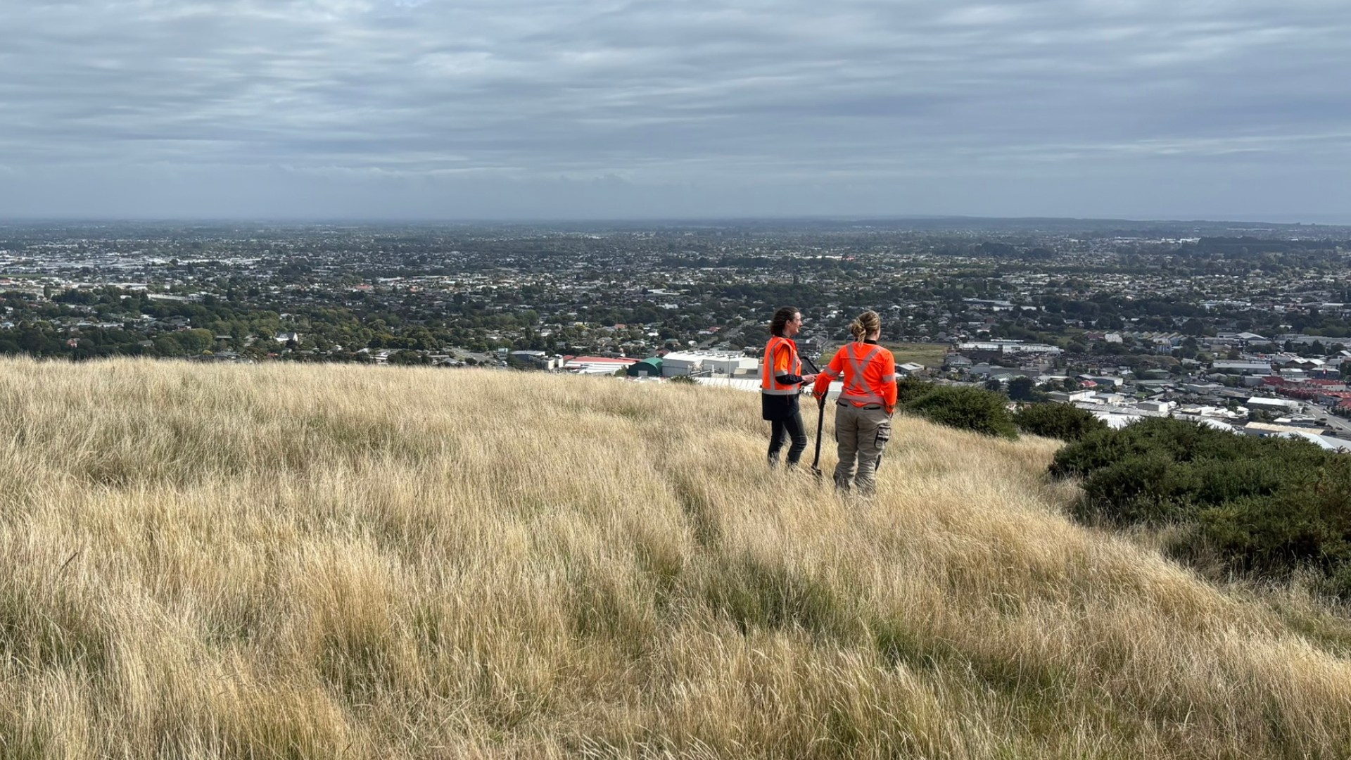 DOWEB_Video_Tile_Enviro