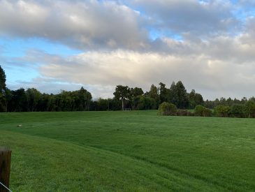 DO_WEB_Projects-Westport Stopbanks-3