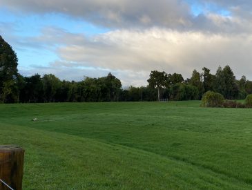 DO_WEB_Projects-Westport Stopbanks-Feature