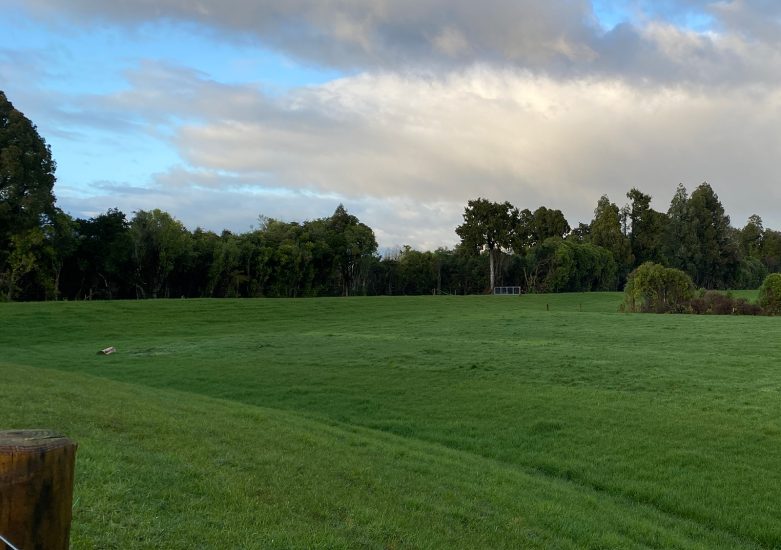 DO_WEB_Projects-Westport Stopbanks-Feature