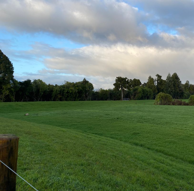 DO_WEB_Projects-Westport Stopbanks-Feature