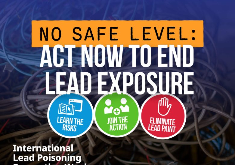 DO_WEB_INSIGHTS-Lead Prevention Week 2025 - HERO