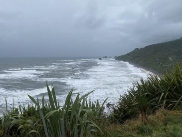 DO_WEB_INSIGHTS-TTPP